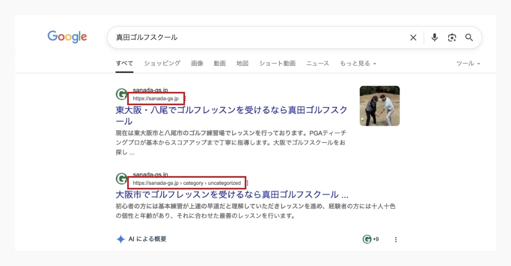 検索結果に２つのWEBページが表示されている場合はURLが違うことに注目